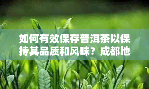 如何有效保存普洱茶以保持其品质和风味？成都地区的存建议与技巧