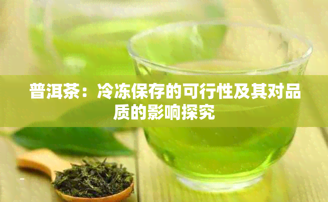 普洱茶：冷冻保存的可行性及其对品质的影响探究