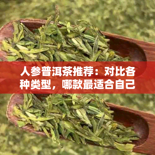 人参普洱茶推荐：对比各种类型，哪款最适合自己的口味与需求？