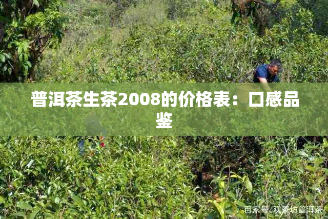 普洱茶生茶2008的价格表：口感品鉴