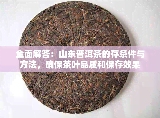 全面解答：山东普洱茶的存条件与方法，确保茶叶品质和保存效果