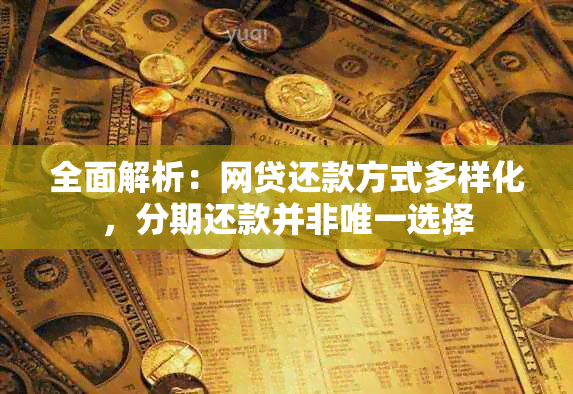 全面解析：网贷还款方式多样化，分期还款并非唯一选择