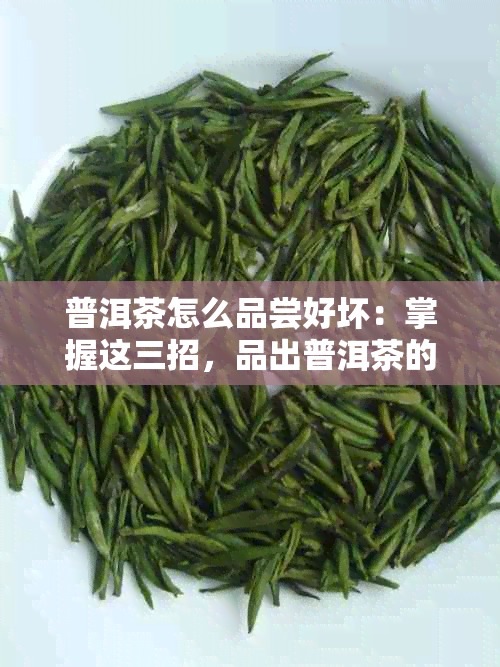 普洱茶怎么品尝好坏：掌握这三招，品出普洱茶的精髓！