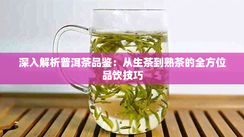 深入解析普洱茶品鉴：从生茶到熟茶的全方位品饮技巧