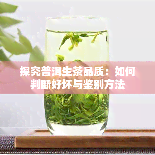 探究普洱生茶品质：如何判断好坏与鉴别方法