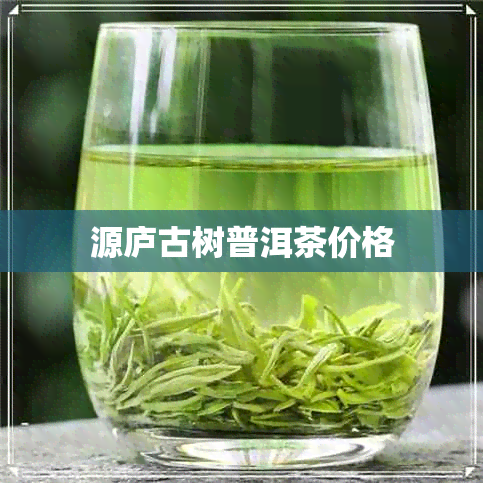 源庐古树普洱茶价格