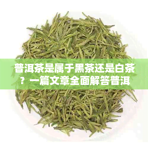 普洱茶是属于黑茶还是白茶？一篇文章全面解答普洱茶的分类及相关问题