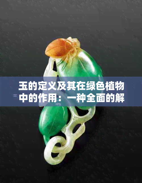 玉的定义及其在绿色植物中的作用：一种全面的解读