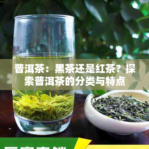 普洱茶：黑茶还是红茶？探索普洱茶的分类与特点