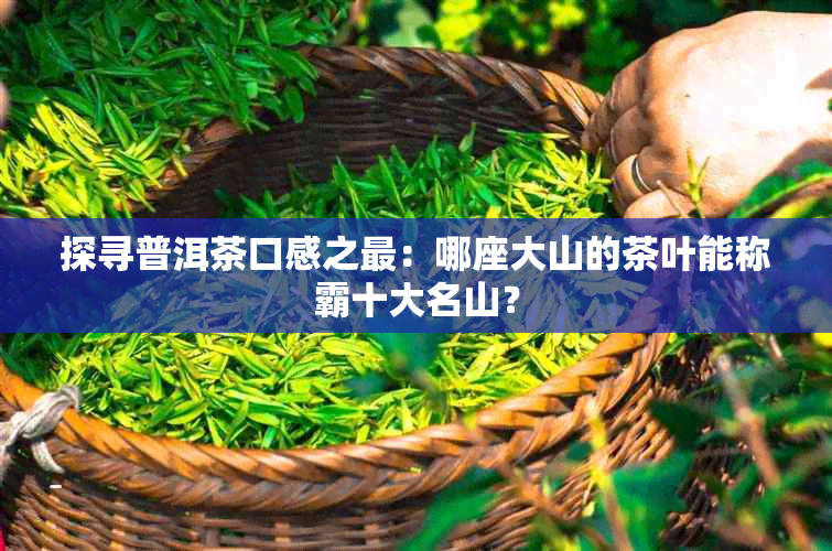 探寻普洱茶口感之最：哪座大山的茶叶能称霸十大名山？