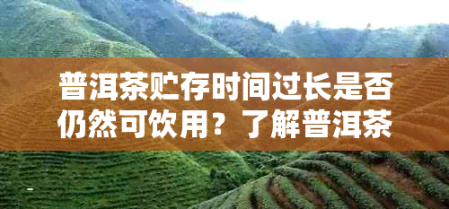 普洱茶贮存时间过长是否仍然可饮用？了解普洱茶陈化过程及其品质变化