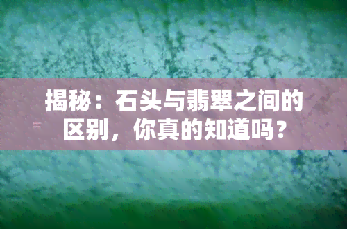 揭秘：石头与翡翠之间的区别，你真的知道吗？