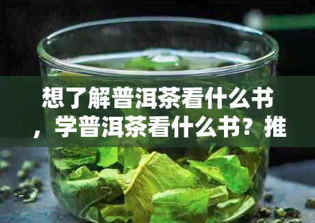 想了解普洱茶看什么书，学普洱茶看什么书？推荐几本入门级的好书！