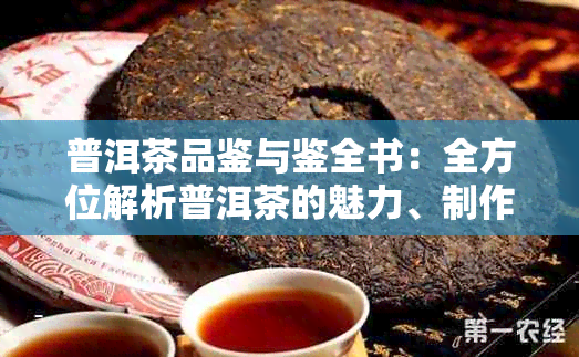 普洱茶品鉴与鉴全书：全方位解析普洱茶的魅力、制作工艺及历文化