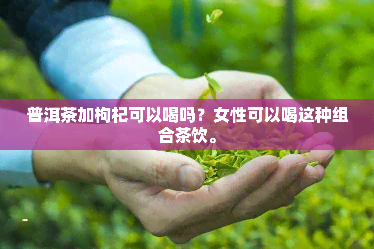 普洱茶加枸杞可以喝吗？女性可以喝这种组合茶饮。