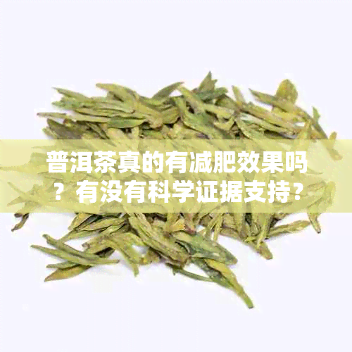 普洱茶真的有减肥效果吗？有没有科学证据支持？