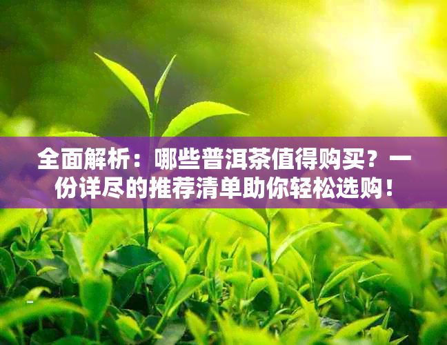 全面解析：哪些普洱茶值得购买？一份详尽的推荐清单助你轻松选购！