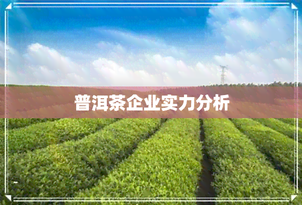 普洱茶企业实力分析