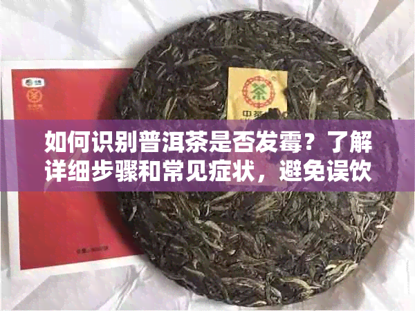 如何识别普洱茶是否发霉？了解详细步骤和常见症状，避免误饮有害茶叶