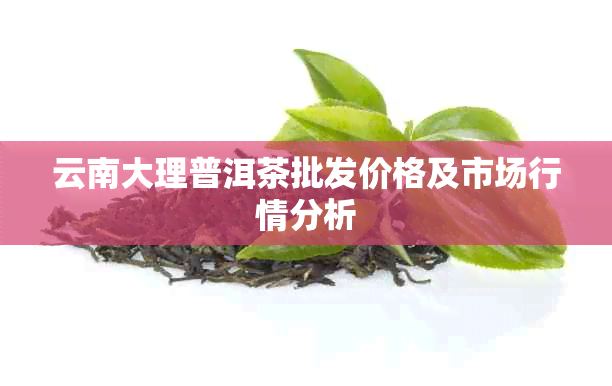 云南大理普洱茶批发价格及市场行情分析