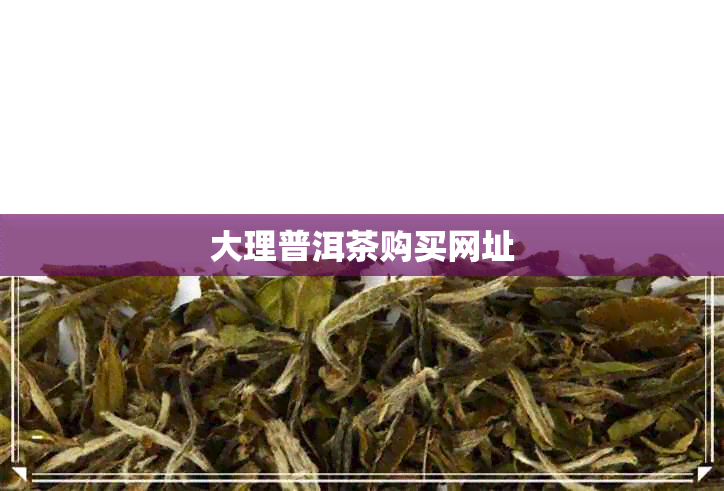 大理普洱茶购买网址