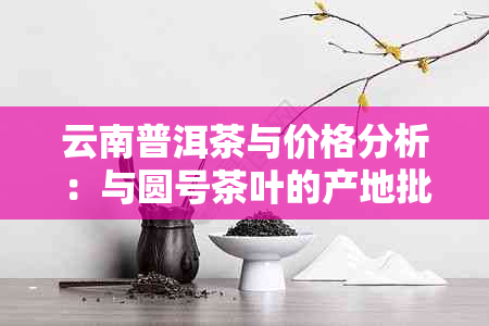 云南普洱茶与价格分析：与圆号茶叶的产地批发