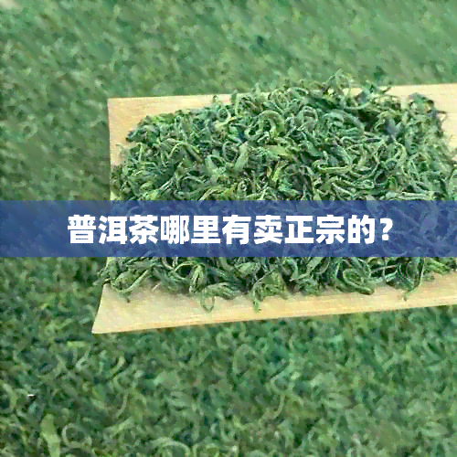 普洱茶哪里有卖正宗的？