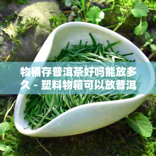 物桶存普洱茶好吗能放多久 - 塑料物箱可以放普洱茶吗？