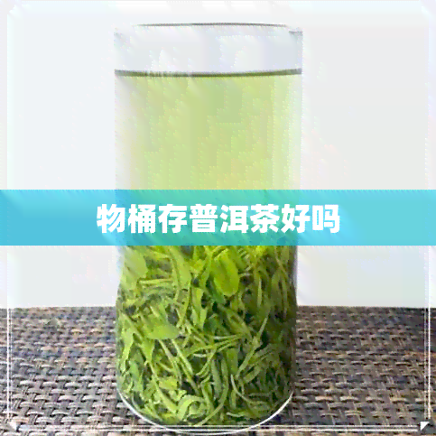 物桶存普洱茶好吗