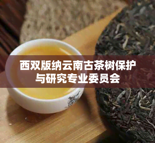 西双版纳云南古茶树保护与研究专业委员会