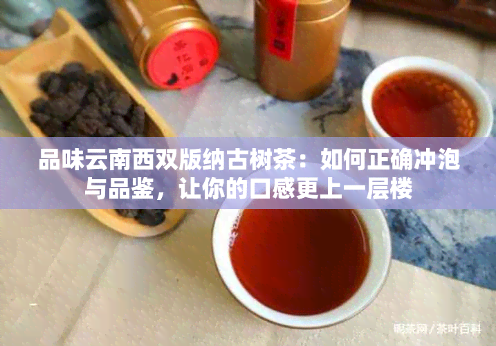 品味云南西双版纳古树茶：如何正确冲泡与品鉴，让你的口感更上一层楼