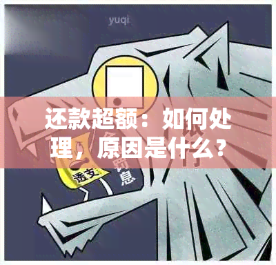 还款超额：如何处理，原因是什么？