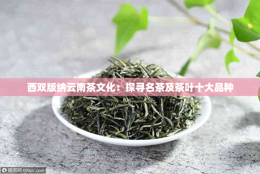 西双版纳云南茶文化：探寻名茶及茶叶十大品种