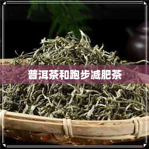 普洱茶和跑步减肥茶