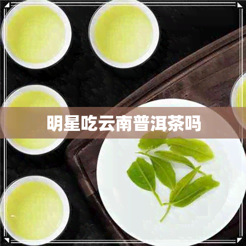 明星吃云南普洱茶吗