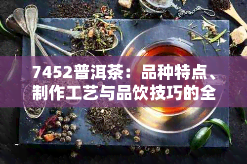 7452普洱茶：品种特点、制作工艺与品饮技巧的全面解析