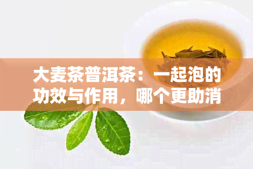 大麦茶普洱茶：一起泡的功效与作用，哪个更助消化？