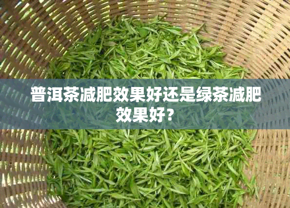 普洱茶减肥效果好还是绿茶减肥效果好？