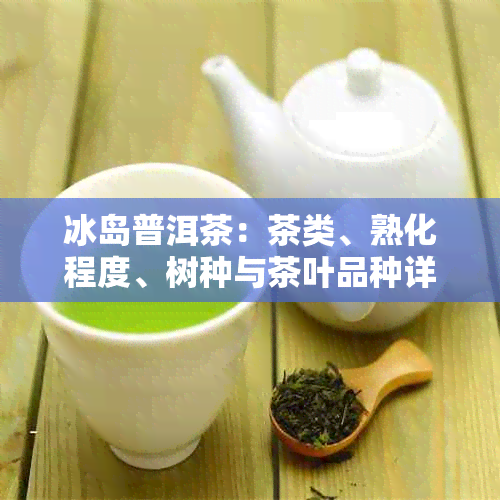 冰岛普洱茶：茶类、熟化程度、树种与茶叶品种详解