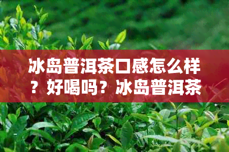 冰岛普洱茶口感怎么样？好喝吗？冰岛普洱茶特点及功效详解