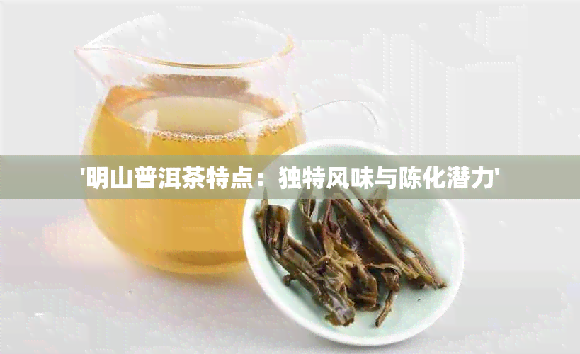 '明山普洱茶特点：独特风味与陈化潜力'