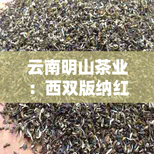 云南明山茶业：西双版纳红英茶叶的引领者与昆明茶文化的传承者