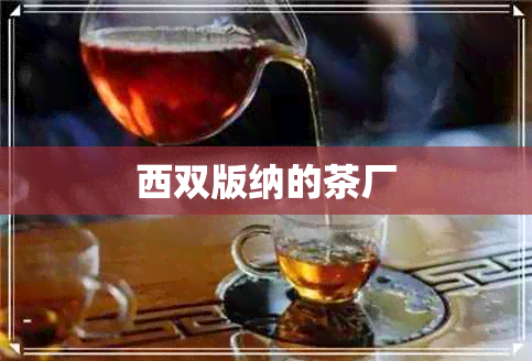 西双版纳的茶厂