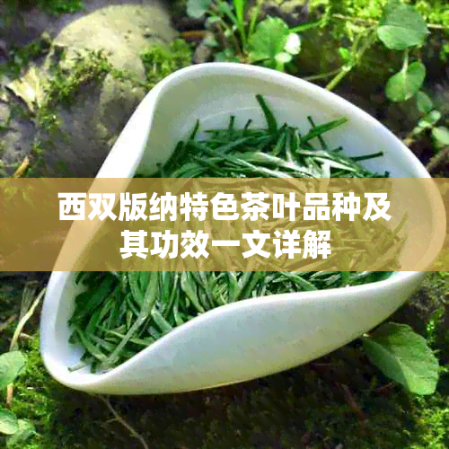 西双版纳特色茶叶品种及其功效一文详解