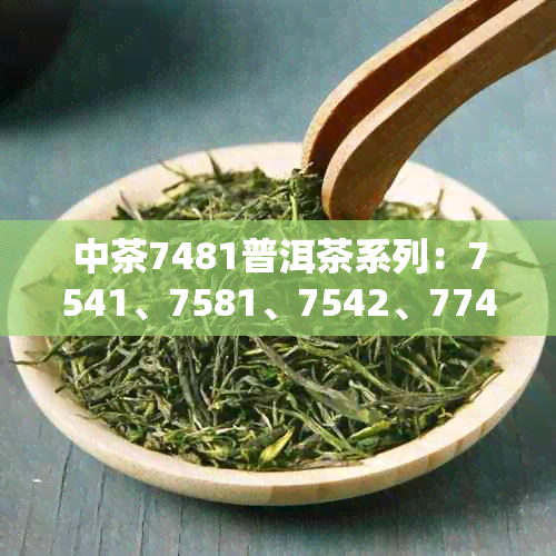 中茶7481普洱茶系列：7541、7581、7542、7741、7432完整品鉴