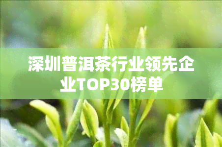 深圳普洱茶行业领先企业TOP30榜单