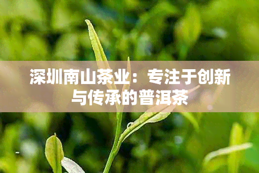 深圳南山茶业：专注于创新与传承的普洱茶