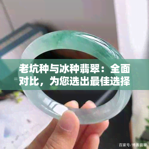 老坑种与冰种翡翠：全面对比，为您选出更佳选择