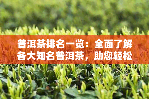 普洱茶排名一览：全面了解各大知名普洱茶，助您轻松挑选适合的茶叶