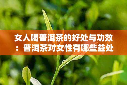 女人喝普洱茶的好处与功效：普洱茶对女性有哪些益处？